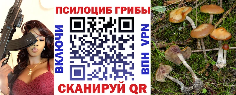 Псилоцибиновые грибы Magic Shrooms Дальнереченск