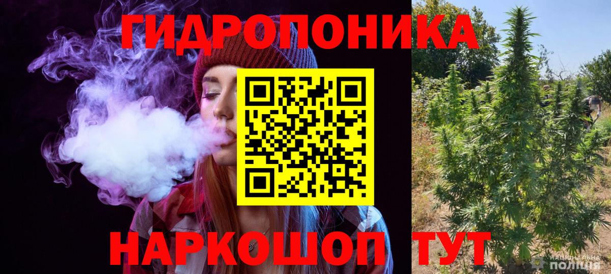 Псилоцибиновые грибы Дальнереченск